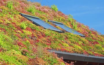 Sly Corner living roof systems